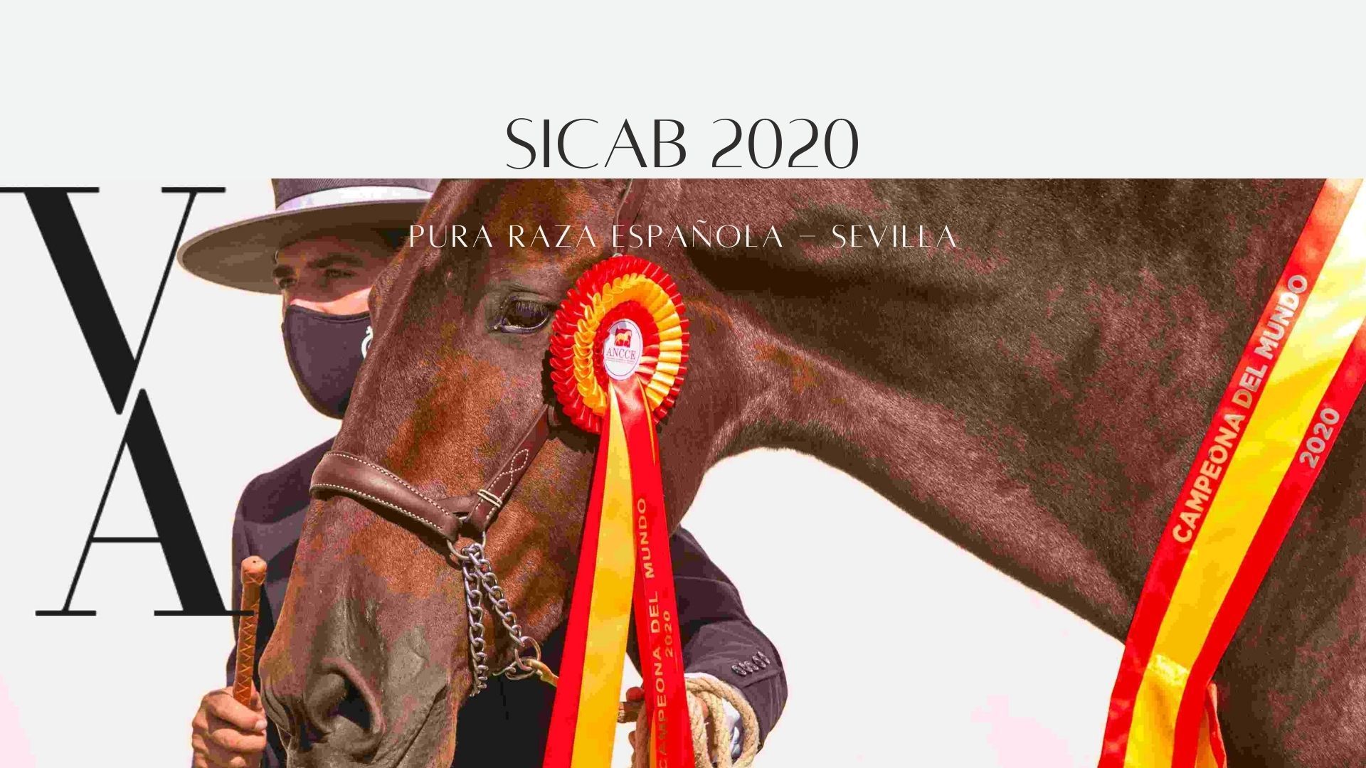 SICAB 2020